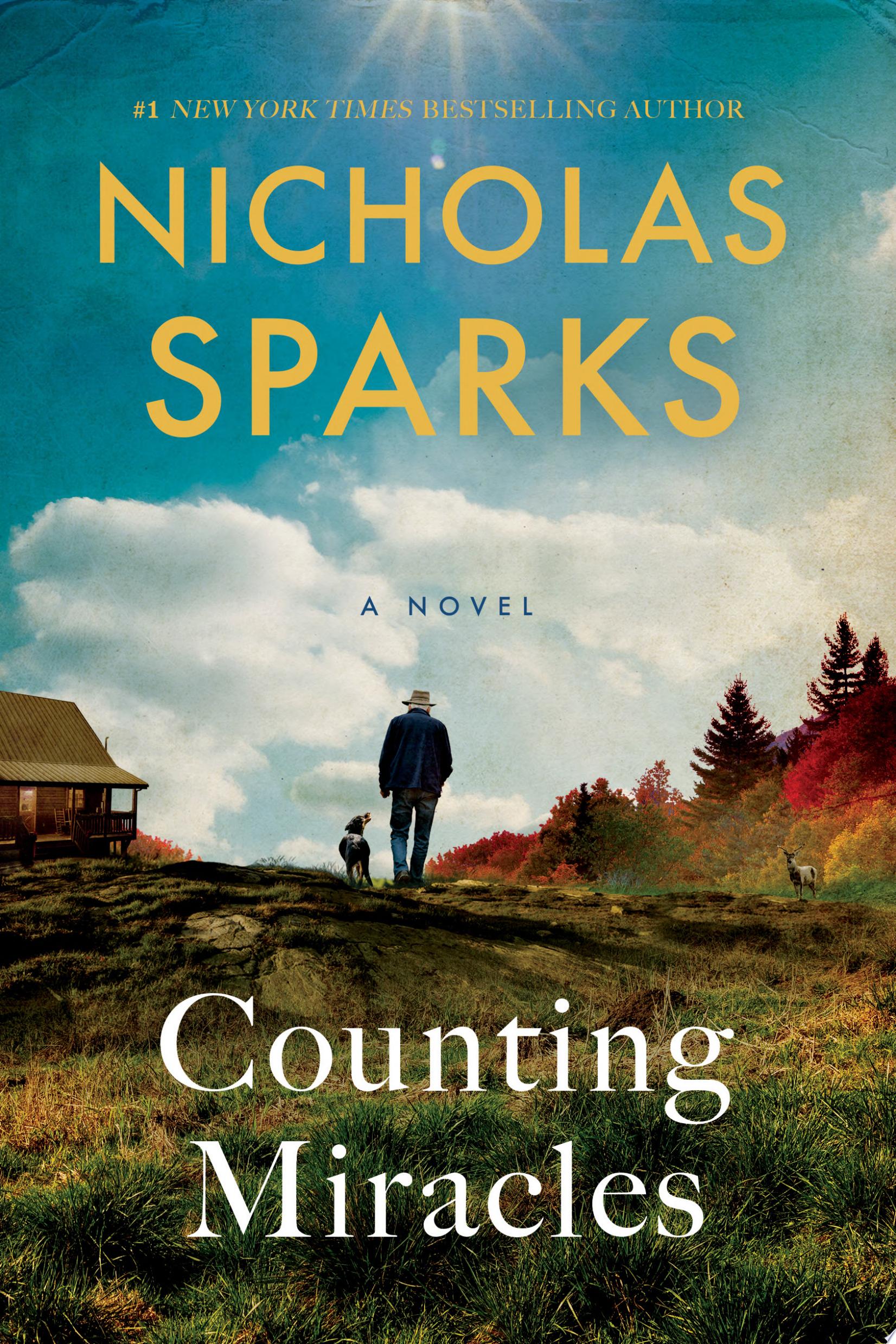 Image for "Counting Miracles"