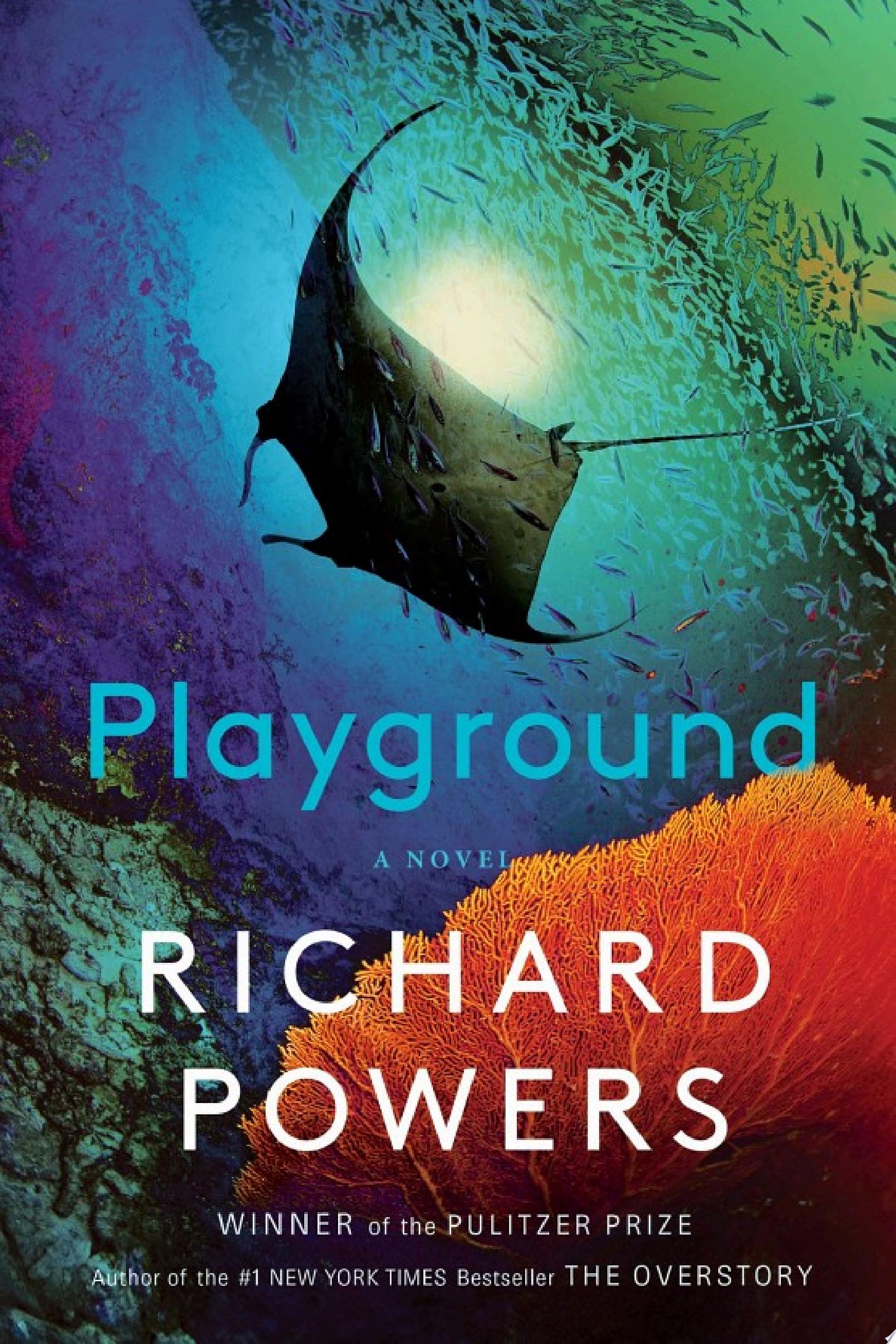 Image for "Playground: A Novel"